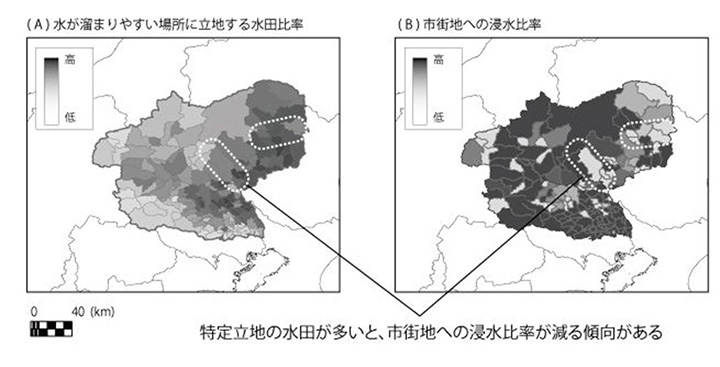特定立地の水田が多い市町村で発生した水害は、市街地への浸水比率が低い傾向が検出された