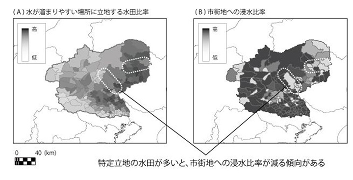 特定立地の水田が多い市町村で発生した水害は、市街地への浸水比率が低い傾向が検出された