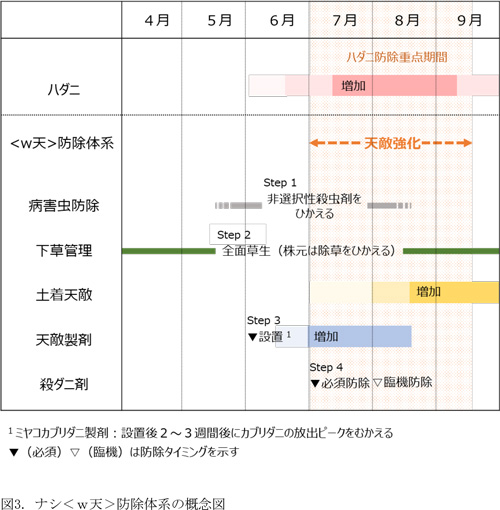 ナシ＜w天＞防除体系の概念図