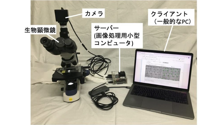 顕微鏡、カメラ、画像処理用コンピューターを接続して葉のサンプルを観察している様子