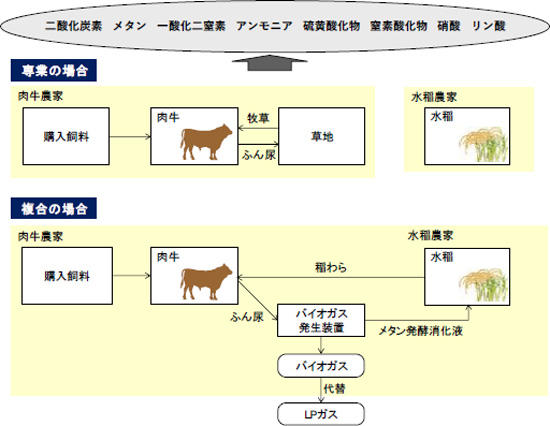 専業システムと複合システムの比較