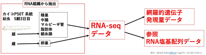 発現データの取得