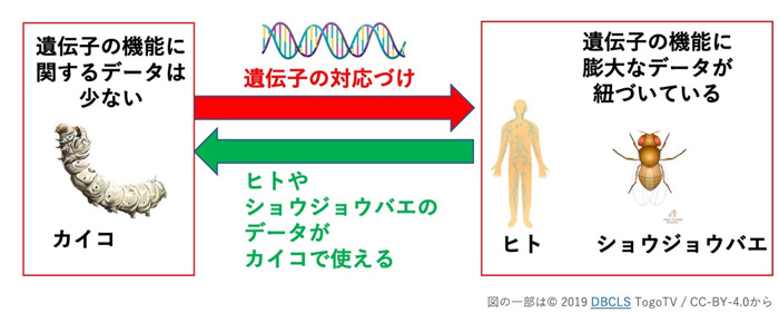 研究成果の活用