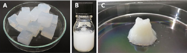 （A）市販のシロップ漬けナタデココ、（B）ナタデココを脱糖後にβ-グルカンの共存下で破砕して製造したナタピューレ、 （C）の試料を遠心分離して沈澱部として回収した3倍濃縮物