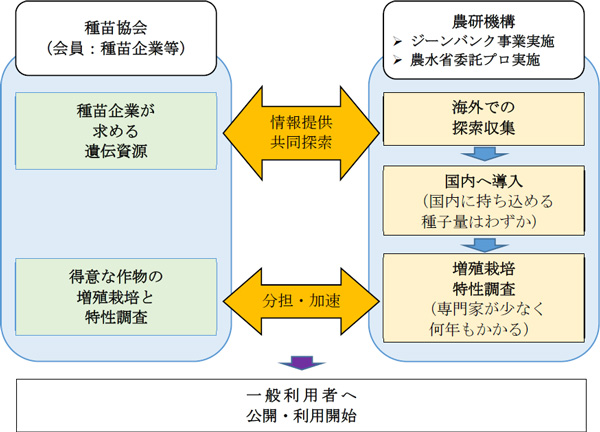 農研機構と種苗協会の海外遺伝資源に関する共同研究の体制