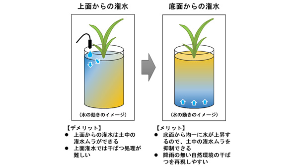 従来の潅水法と底面潅水の違い