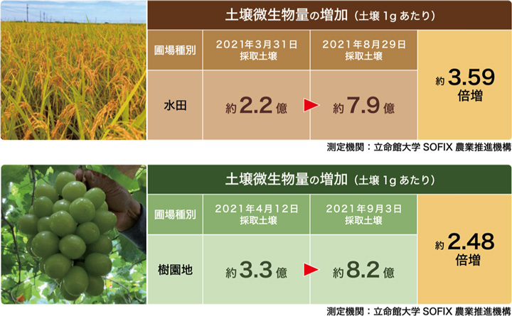 富山県の水田（こしひかり）の結果（上）、山梨の樹園地（シャインマスカット）の結果