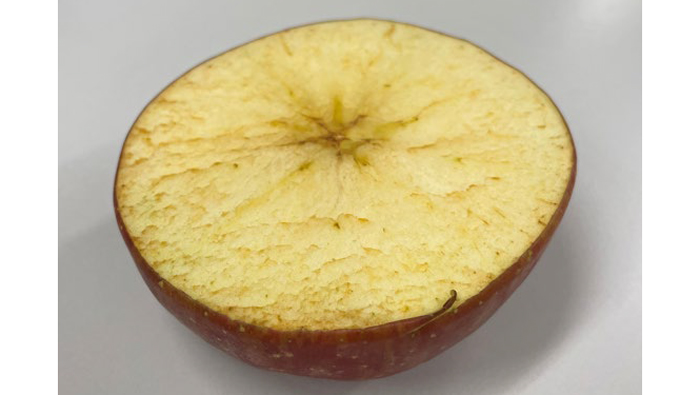 リンゴ果肉の褐変しやすさに関わる染色体領域を特定　農研機構