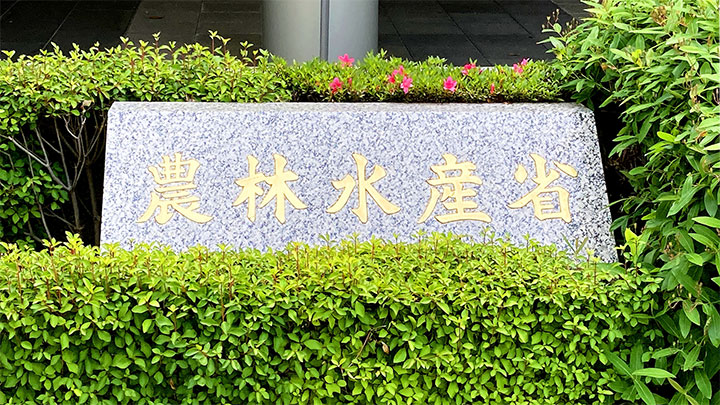 いちごのアザミウマ類　関東、東海、中国、南九州で発生に注意　病害虫発生予報第一号