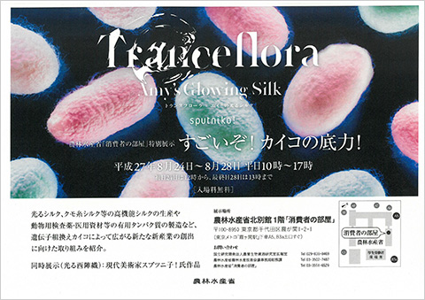 「カイコの底力」を特別展示　消費者の部屋　農水省