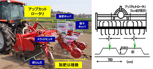 耕うん同時畝立ては種の図