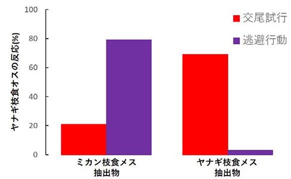 逃避行動の統計グラフ