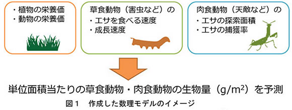 数理モデル