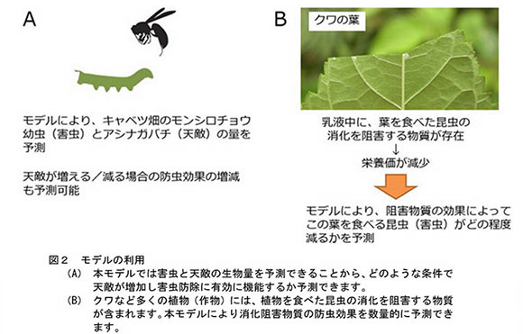 数理モデル