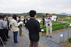 品種育成者と生産者が交流 タキイ研究農場　秋期農場研修会