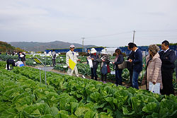 説明に耳を傾ける生産者