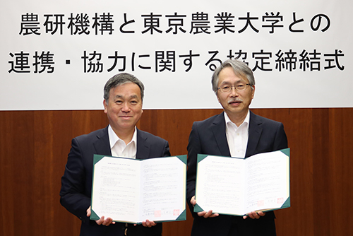 協定書を取り交わす、鷹野東京農業大学学長と井邊農研機構理事長