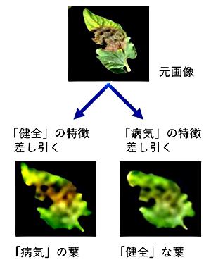 ジャガイモの葉の画像の病気診断の例