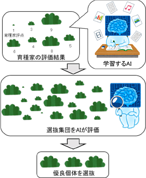 AIによる優良個体選抜の概念図