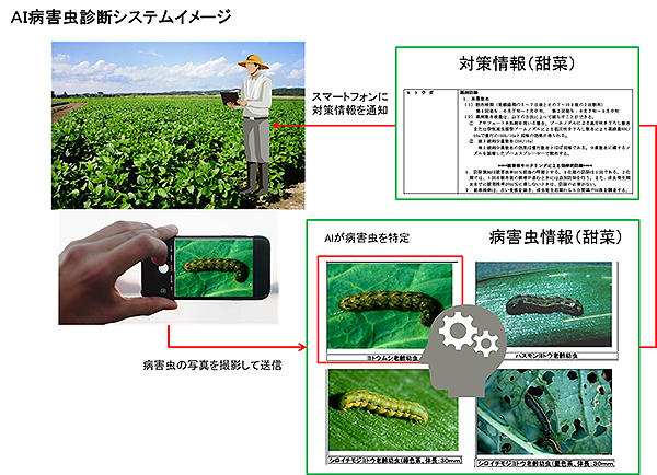 AIが病害虫を特定　営農指導活用へ診断システム構築　十勝農協連と富士通