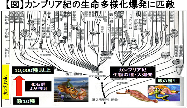 情報の見える化で農業が変わる