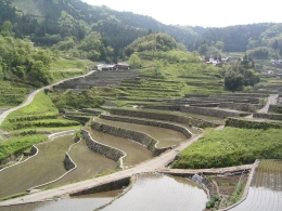 水の共有で成り立つ日本の水田