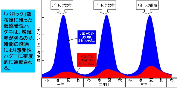 バロック散布後のミカンハダニの増殖の様子