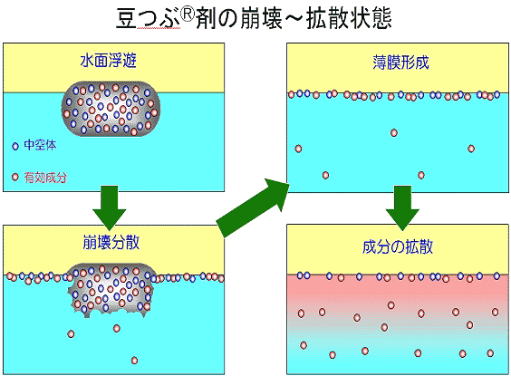 豆つぶ剤の崩壊?拡散状態