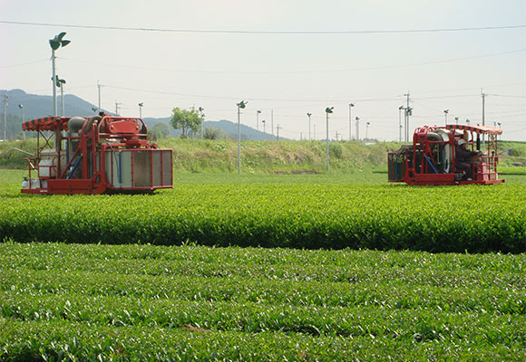 【ＪＡ革命】第４回　農業法人化のトップランナー宮崎県　県中央会がバックアップ