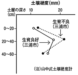 土壌の深さ別の土壌硬度