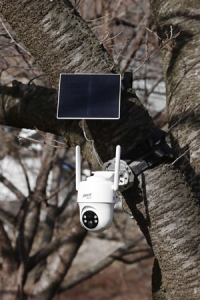 傾いた木の枝に設置した「センサー式ソーラーカメラMC1」