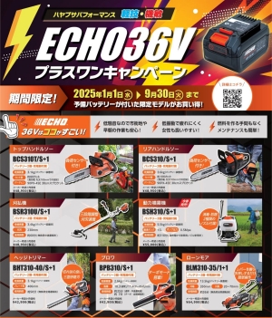 特別キャンペーンのお知らせ