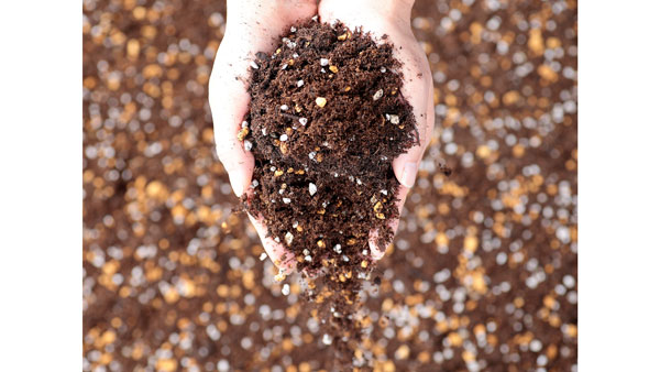 花と野菜の培養土W-SOIL-305