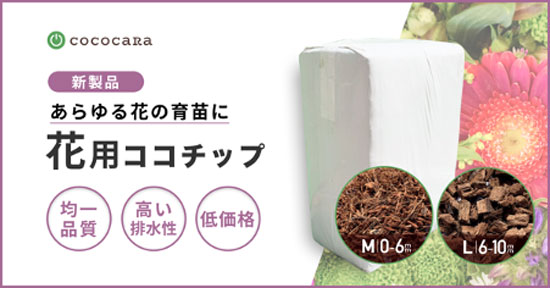 花の育苗用「花用ココチップ」新発売　排水性高いココチップで高品質低価格を実現　ココカラ