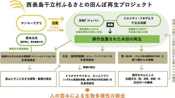 プロジェクト概要