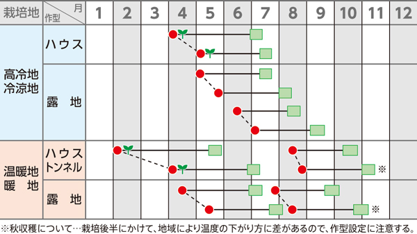 春・作型図_エダマメ「たっぷり」