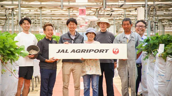 JAL-Agriport　いちご農園にエステック製「100％紙製苗止めクリップ」採用