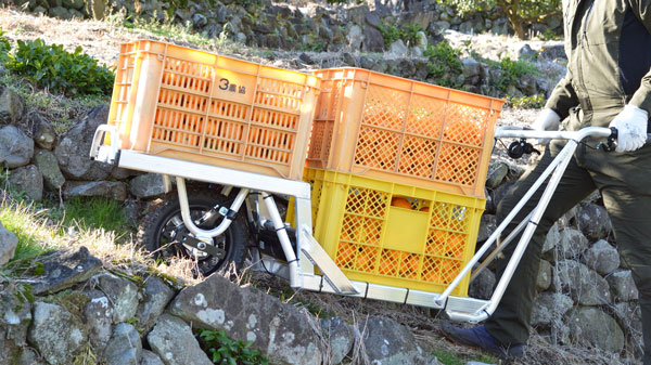 愛媛県のみかん農家の運搬労力削減に向けて実証実験を行うねこ車電動化キット「E-Cat Kit」