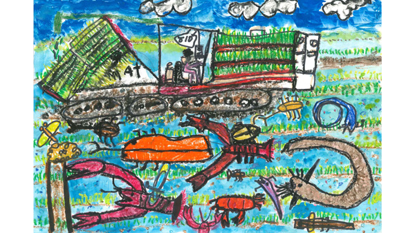 全国最優秀賞に選ばれた「田うえで出会えるお友だち」