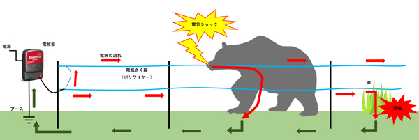 電気さくの仕組み　※青線部が電気さく線