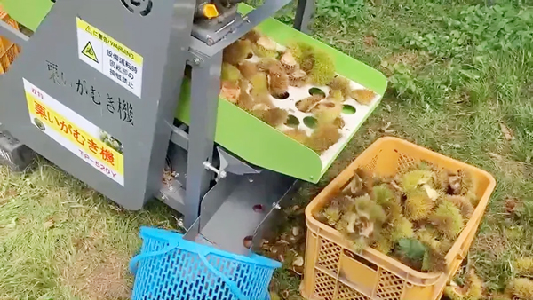 栗いがむき機使用イメージ