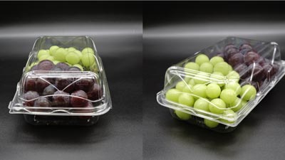 ぶどう2種盛りに　縦置き可能　大量目の仕切付き容器を新発売　エフピコチューパ_01s.jpg