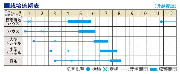 「いつつぼし」の栽培適期表