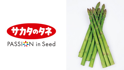 夏も冬も安定生産　アスパラガス『ハイパーウェルカム』の種子発売　サカタのタネs.jpg