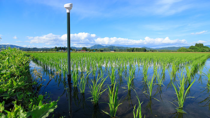 低価格な農業IoTサービス事業者向け「水田用 水位センサー」5月に発売　Braveridge