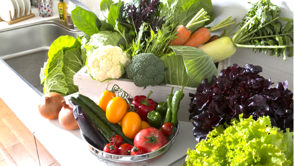 2022年野菜の総括「野菜の摂取意欲」さらに高まる　タキイ種苗
