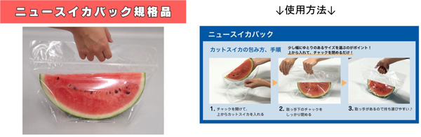 ニュースイカバックpg