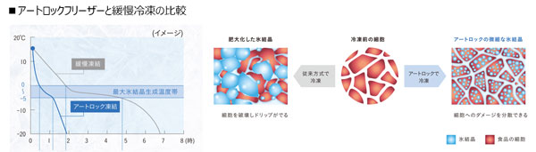 ​アートロックフリーザーと緩慢冷凍の比較