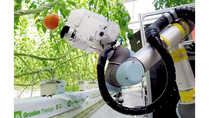 ヤンマー大玉トマト収穫ロボット