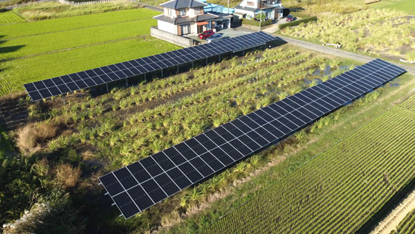 一本足型営農型太陽光発電の事例